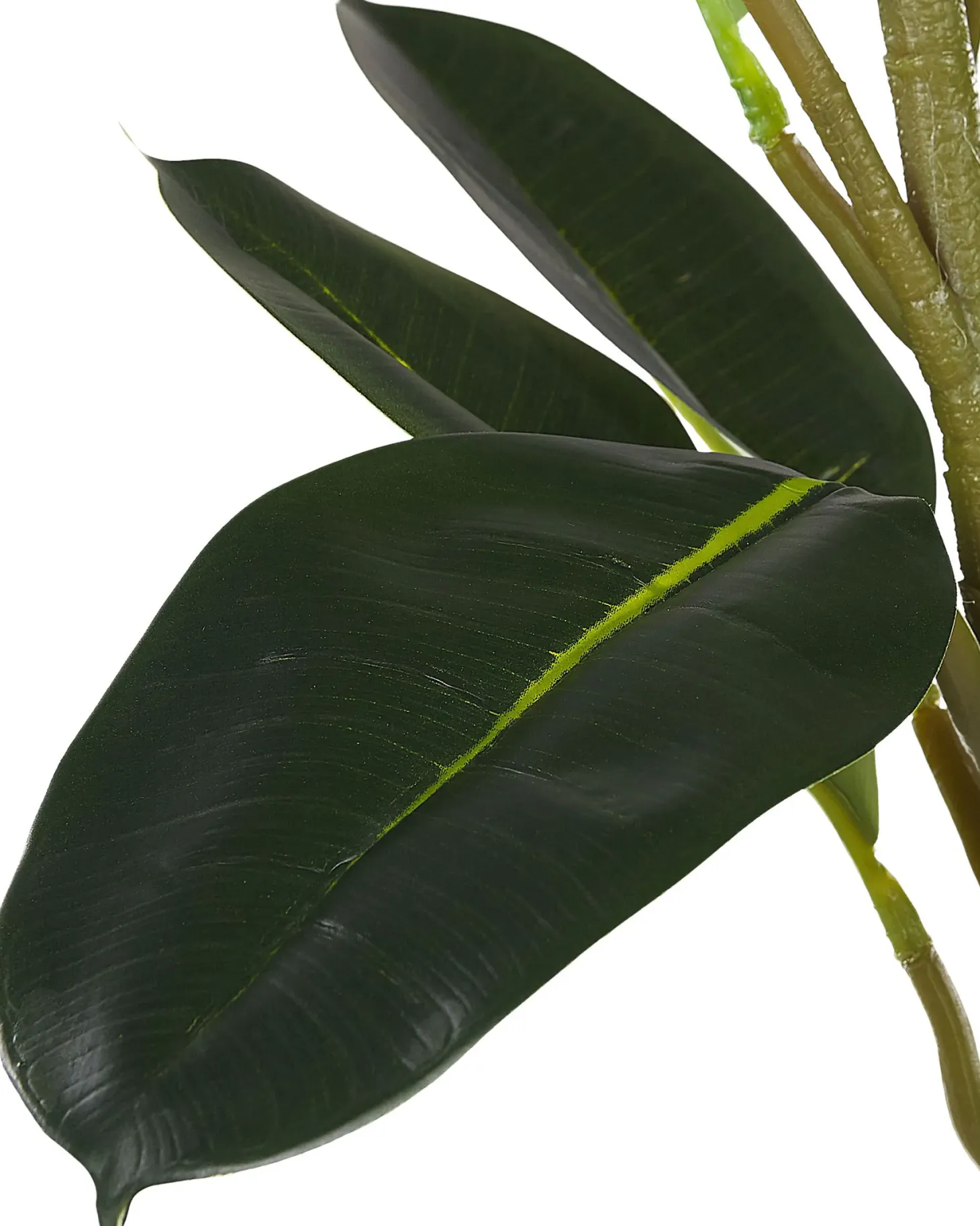 Sztuczna roślina FICUS ELASTICA 134 cm Zielony
