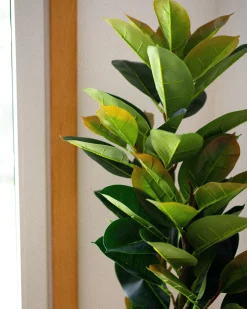 Sztuczna roślina FICUS ELASTICA 134 cm Zielony