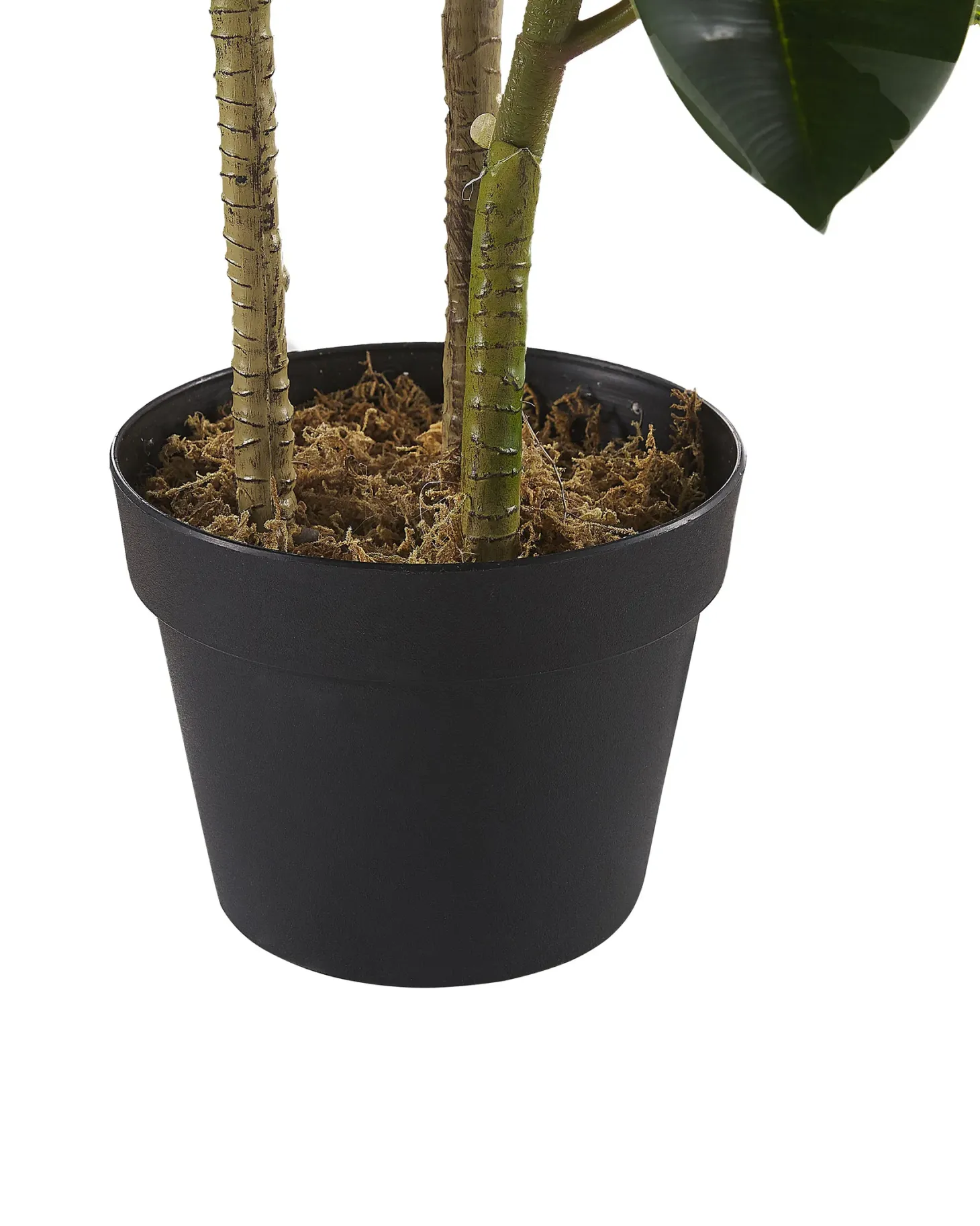 Sztuczna roślina FICUS ELASTICA 134 cm Zielony