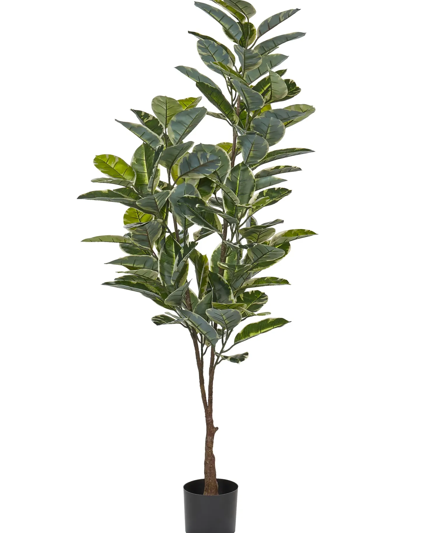 Sztuczna roślina FICUS ELASTICA 160 cm Zielony