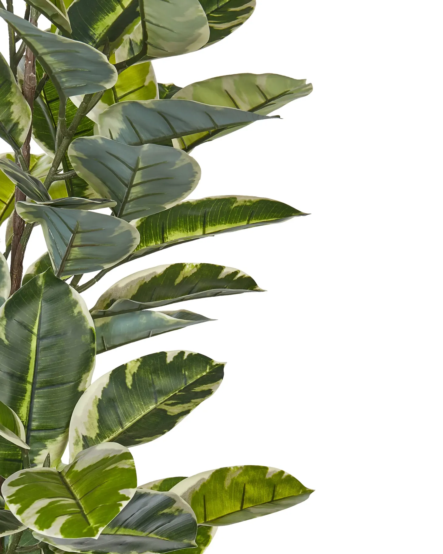 Sztuczna roślina FICUS ELASTICA 160 cm Zielony