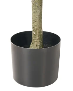 Sztuczna roślina FICUS TREE 160 cm Zielony