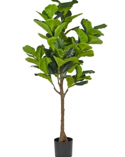 Sztuczna roślina FIG TREE 162 cm Zielony