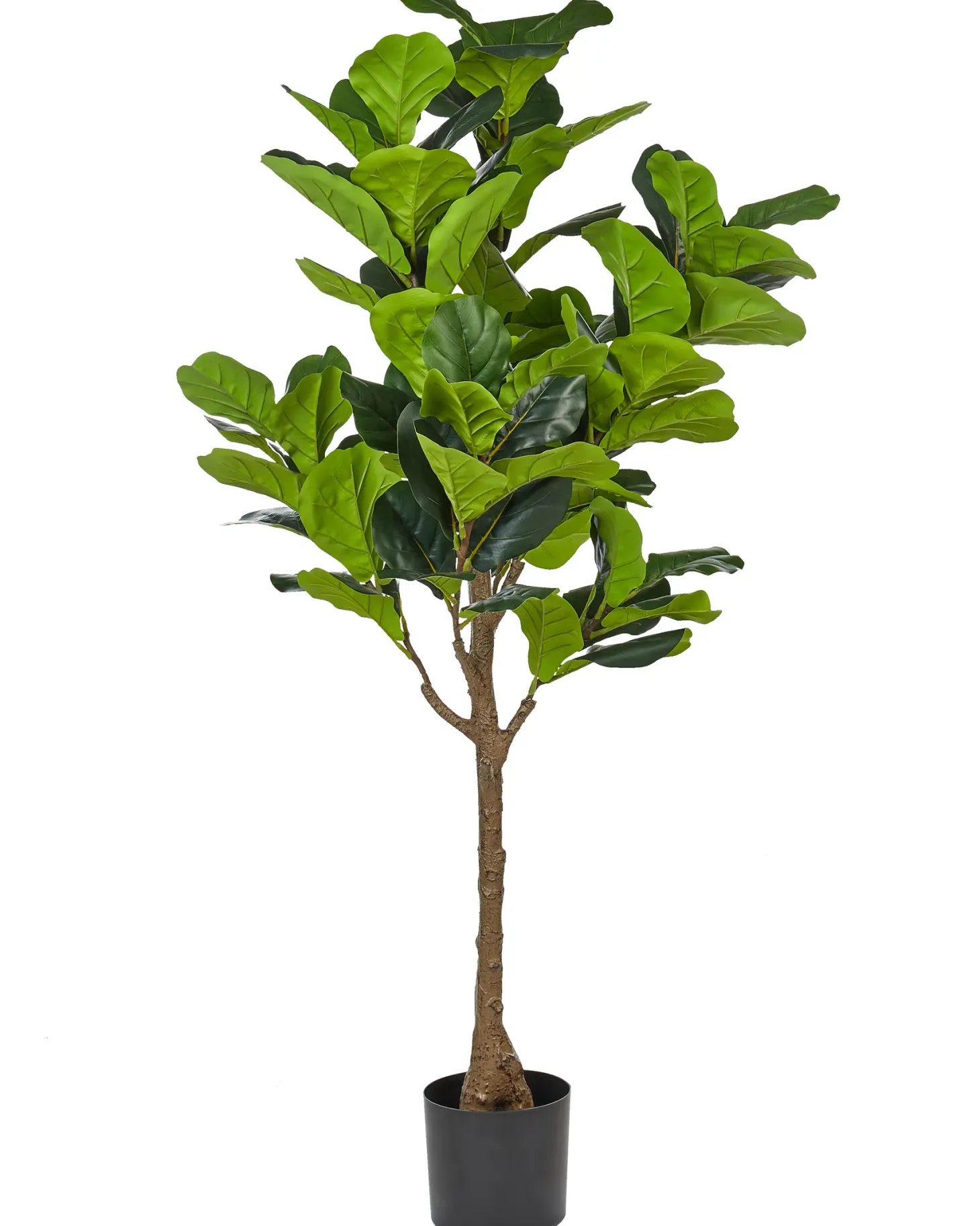 Sztuczna roślina FIG TREE 162 cm Zielony