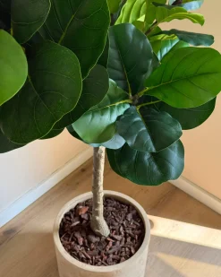 Sztuczna roślina FIG TREE 162 cm Zielony