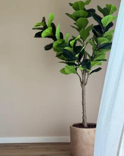 Sztuczna roślina FIG TREE 162 cm Zielony