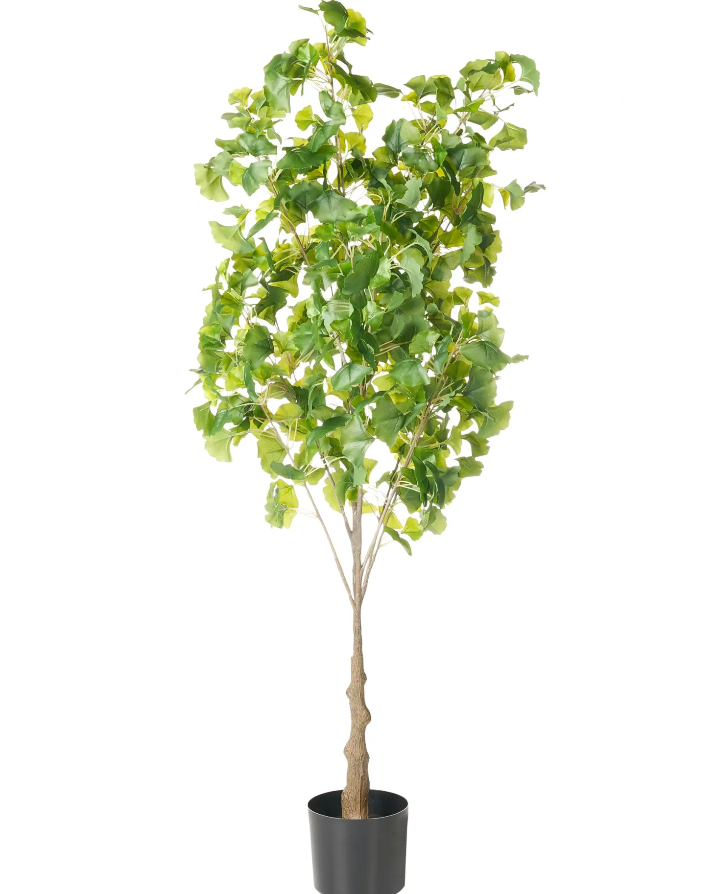 Sztuczna roślina GINKGO TREE 150 cm Zielony