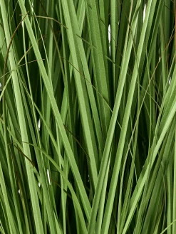 Sztuczna roślina GRASS 120 cm Zielony