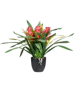 Sztuczna roślina GUZMANIA ATILLA 50 cm Zielony