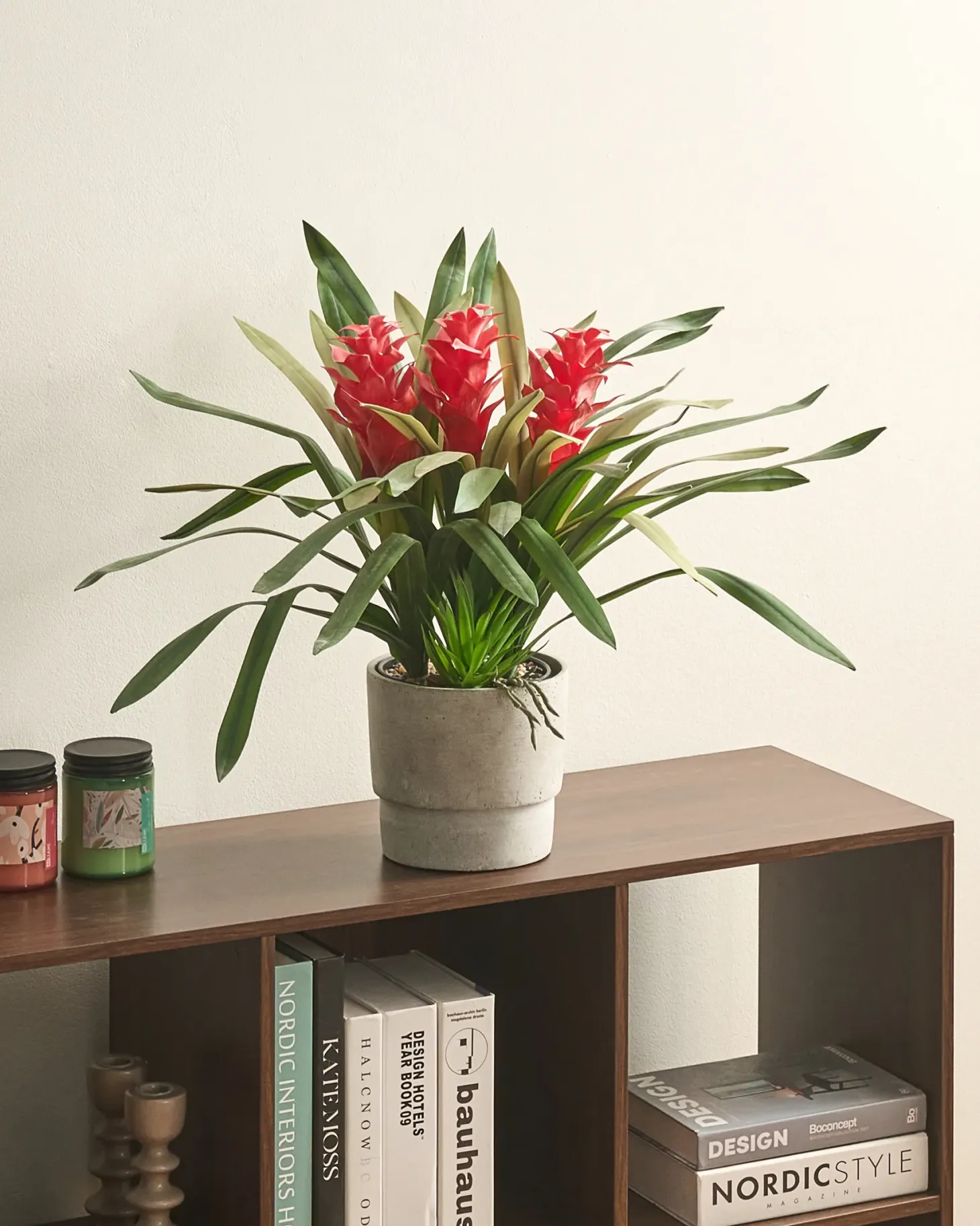 Sztuczna roślina GUZMANIA ATILLA 50 cm Zielony