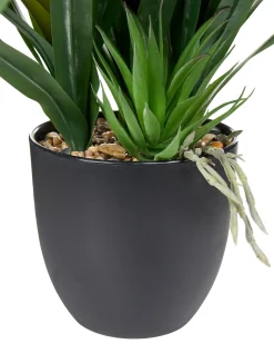 Sztuczna roślina GUZMANIA ATILLA 50 cm Zielony