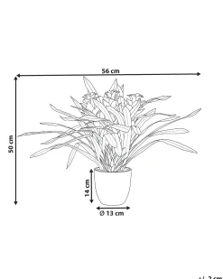 Sztuczna roślina GUZMANIA ATILLA 50 cm Zielony