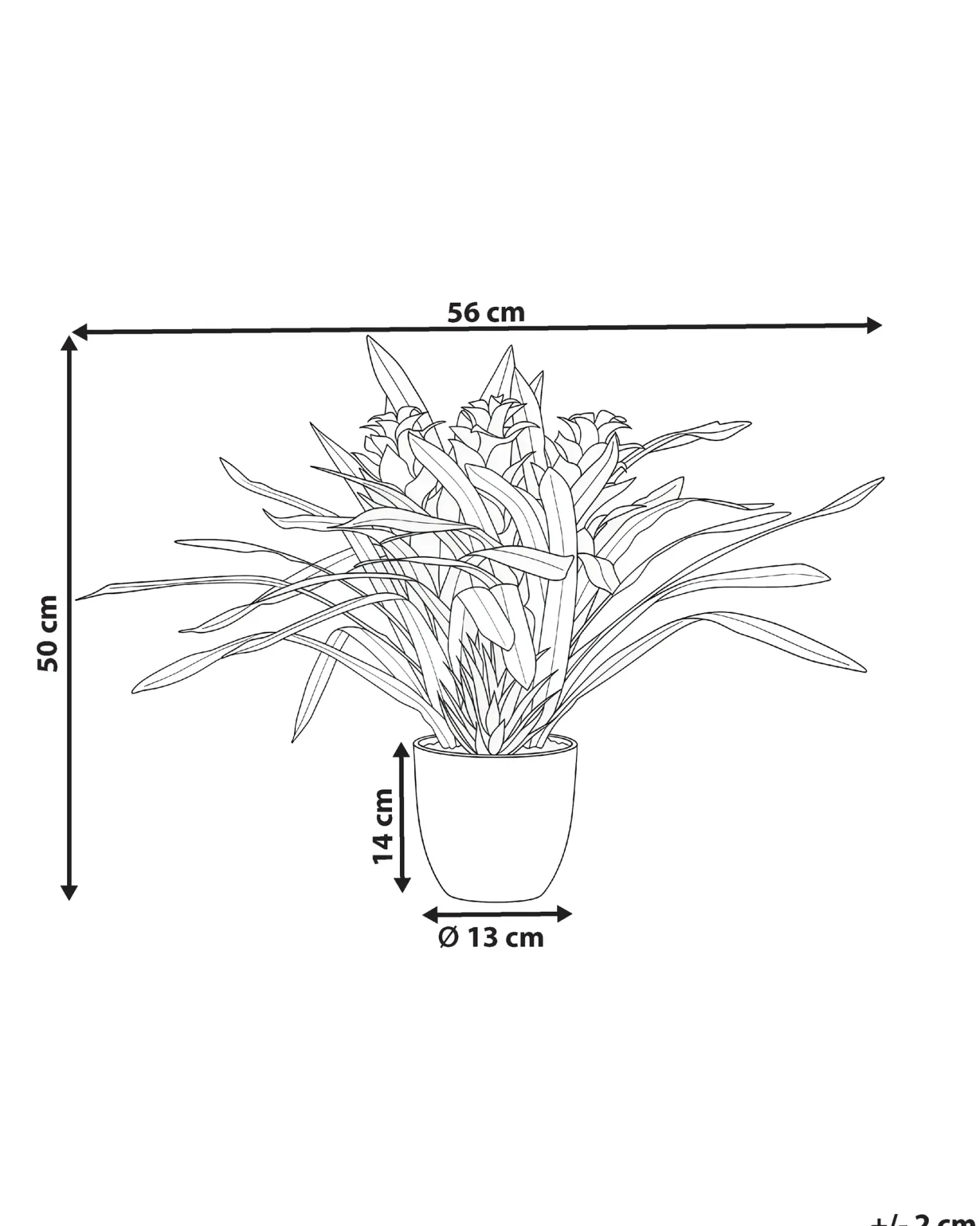 Sztuczna roślina GUZMANIA ATILLA 50 cm Zielony
