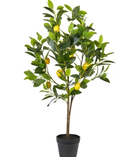 Sztuczna roślina LEMON TREE 105 cm Zielony