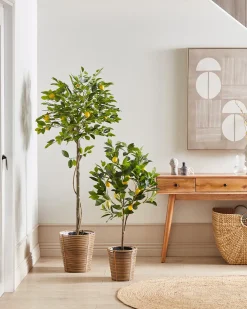 Sztuczna roślina LEMON TREE 105 cm Zielony