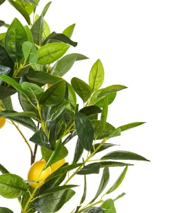 Sztuczna roślina LEMON TREE 105 cm Zielony