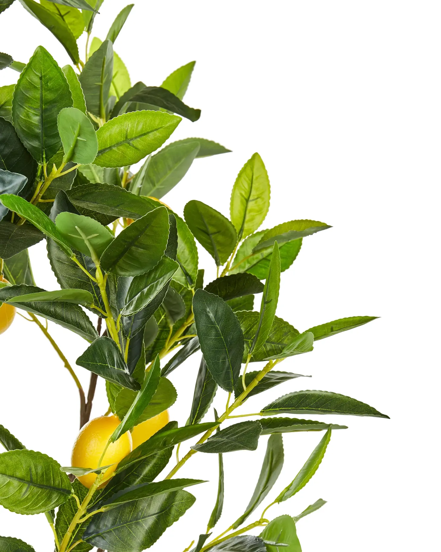 Sztuczna roślina LEMON TREE 105 cm Zielony