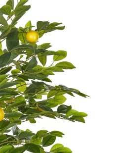 Sztuczna roślina LEMON TREE 156 cm Zielony