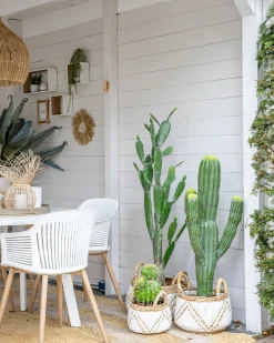 Sztuczna roślina MAROCCO CEREUS 115 cm Zielony