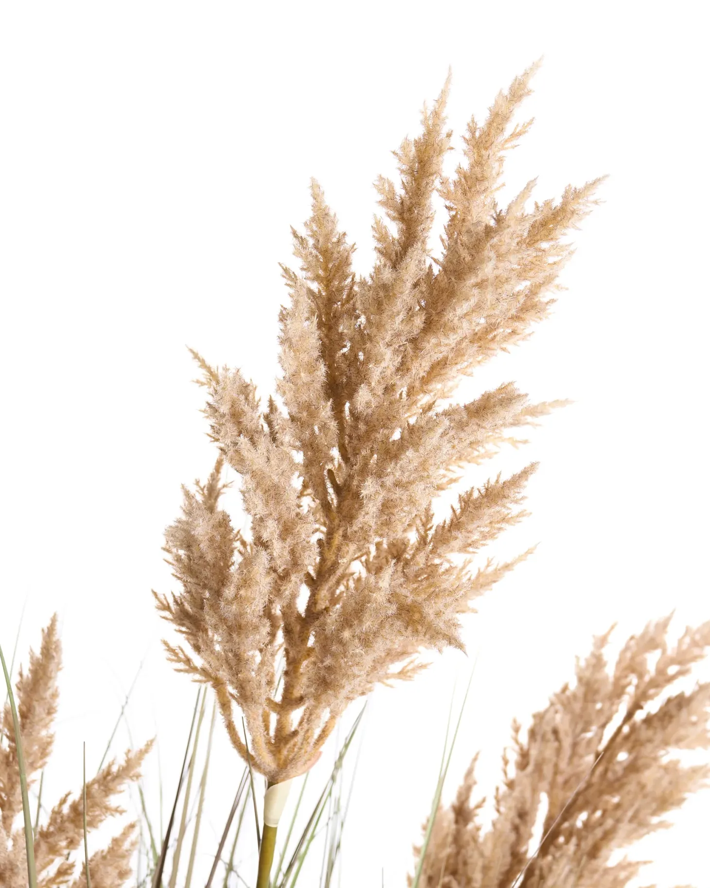 Sztuczna roślina MISCANTHUS GRASS 120 cm Brązowy