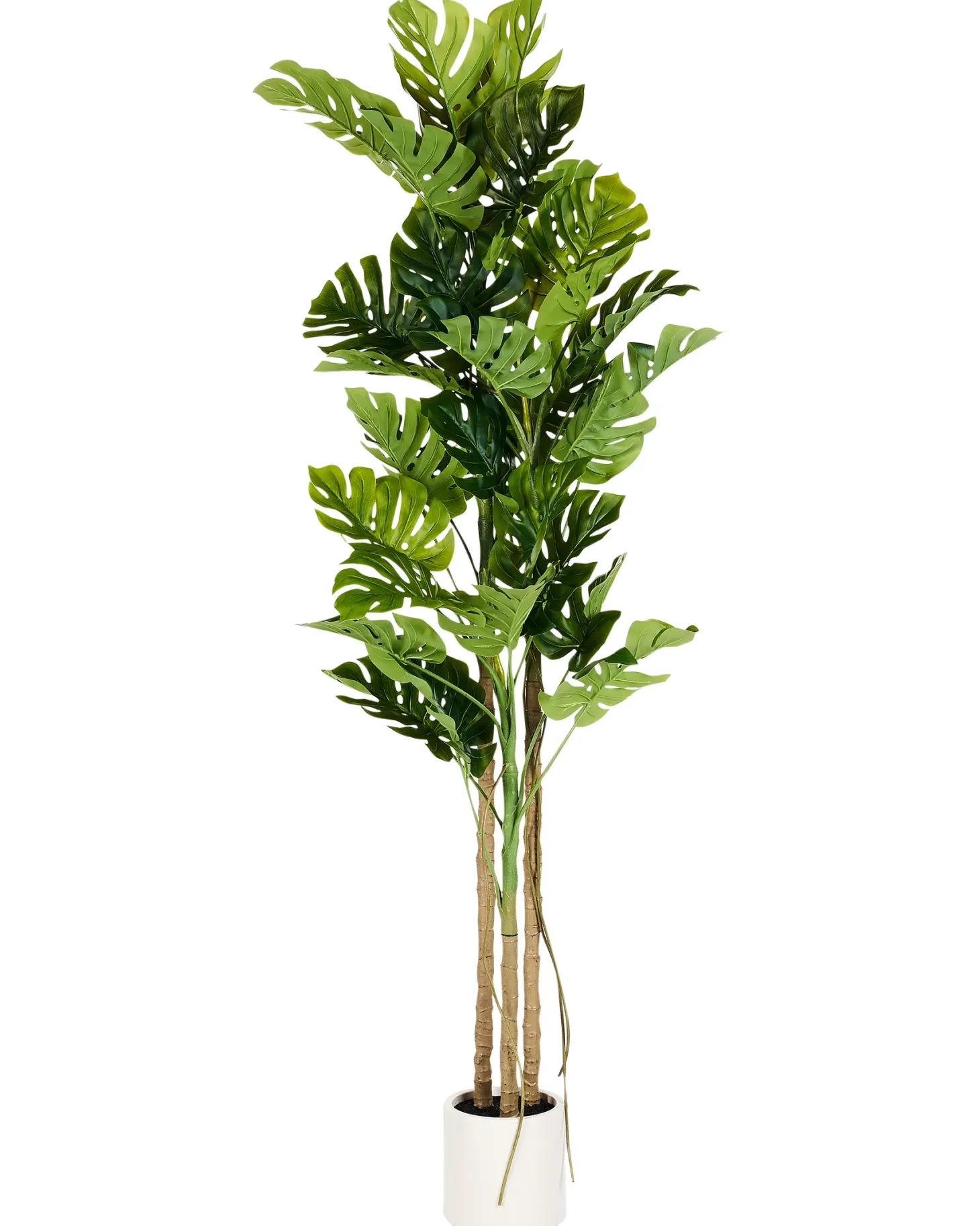 Sztuczna roślina MONSTERA PLANT 221 cm Zielony