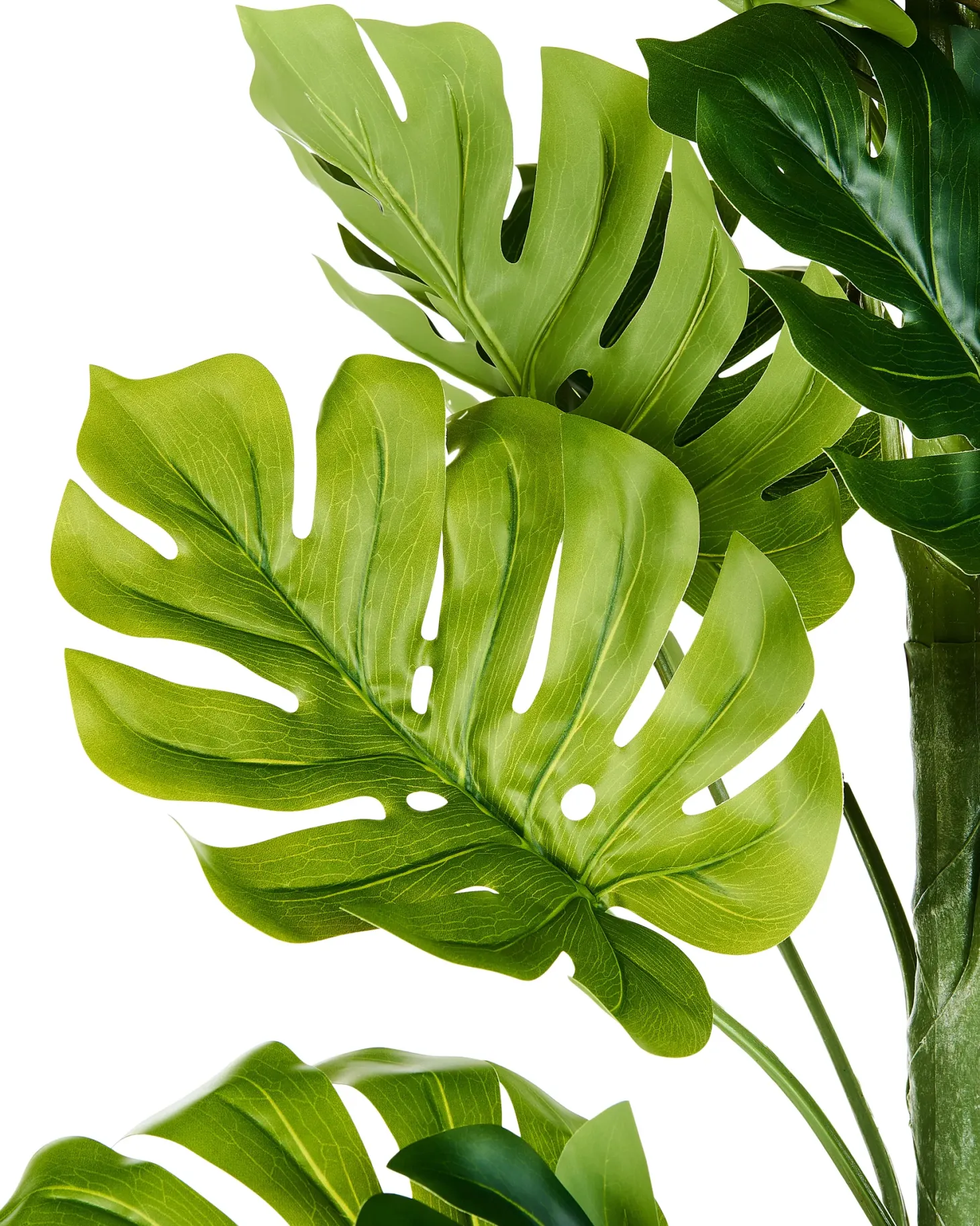 Sztuczna roślina MONSTERA PLANT 221 cm Zielony