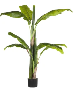 Sztuczna roślina MUSA TREE 154 cm Zielony