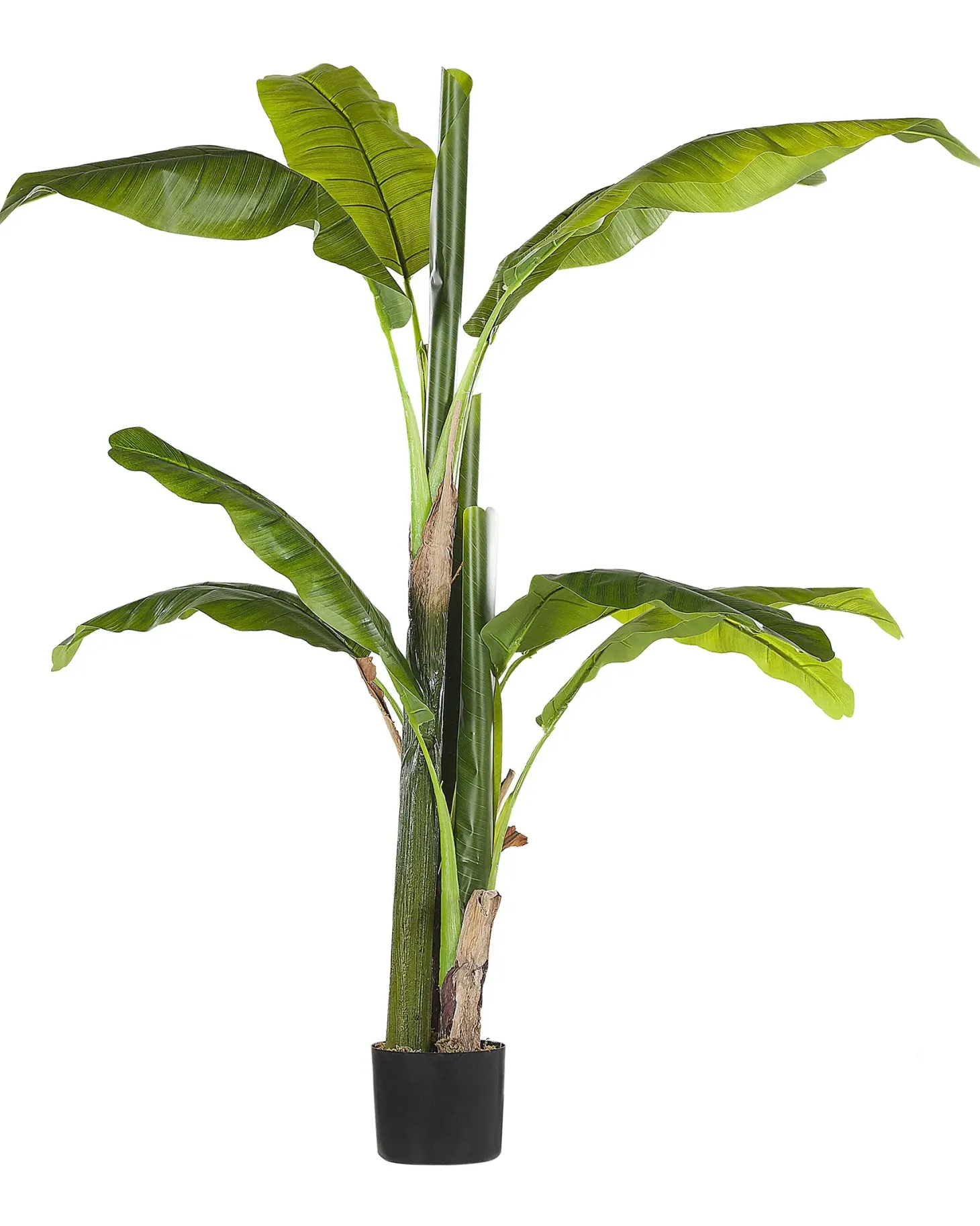Sztuczna roślina MUSA TREE 154 cm Zielony