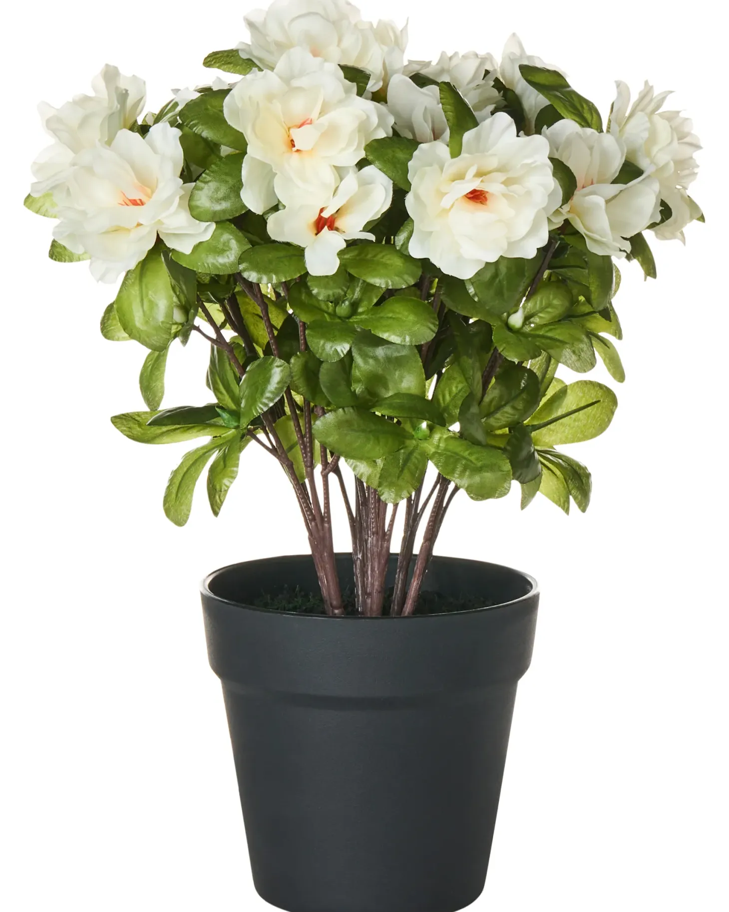 Sztuczna roślina NOVELLA 36 cm Biały