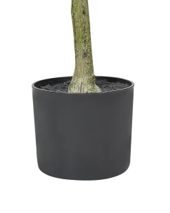 Sztuczna roślina OLIVE TREE 153 cm Zielony