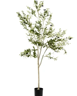 Sztuczna roślina OLIVE TREE 178 cm Zielony