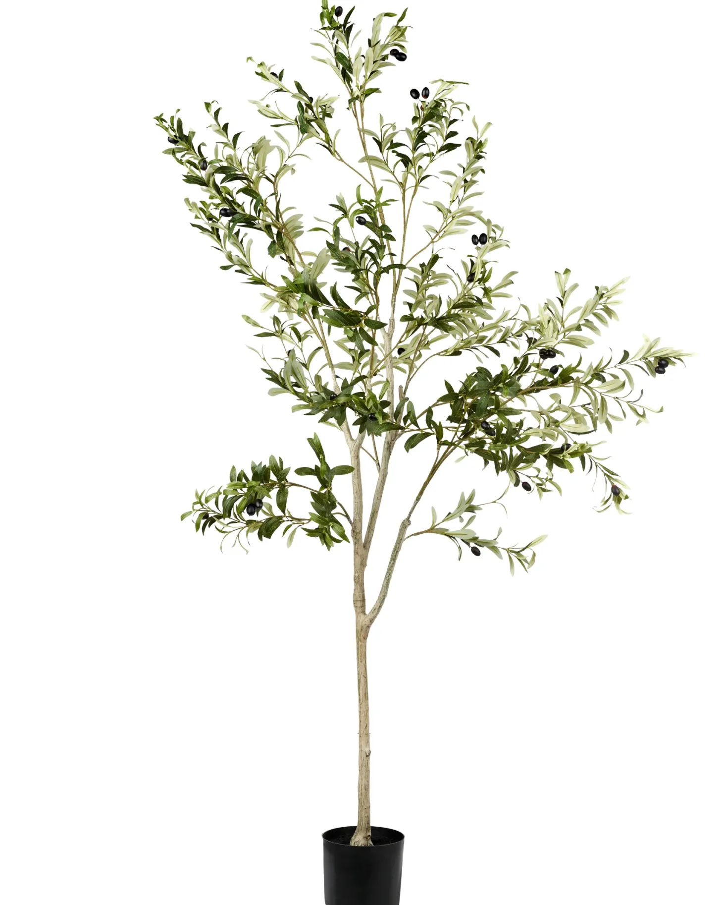 Sztuczna roślina OLIVE TREE 178 cm Zielony