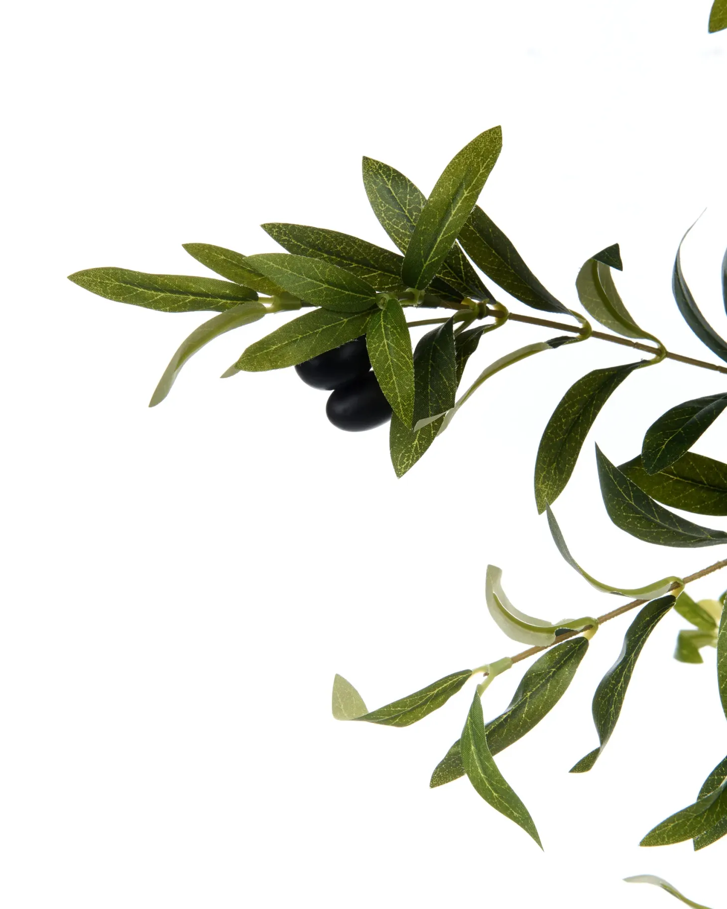 Sztuczna roślina OLIVE TREE 178 cm Zielony