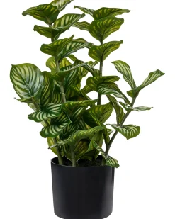 Sztuczna roślina ORBIFOLIA 50 cm Zielony