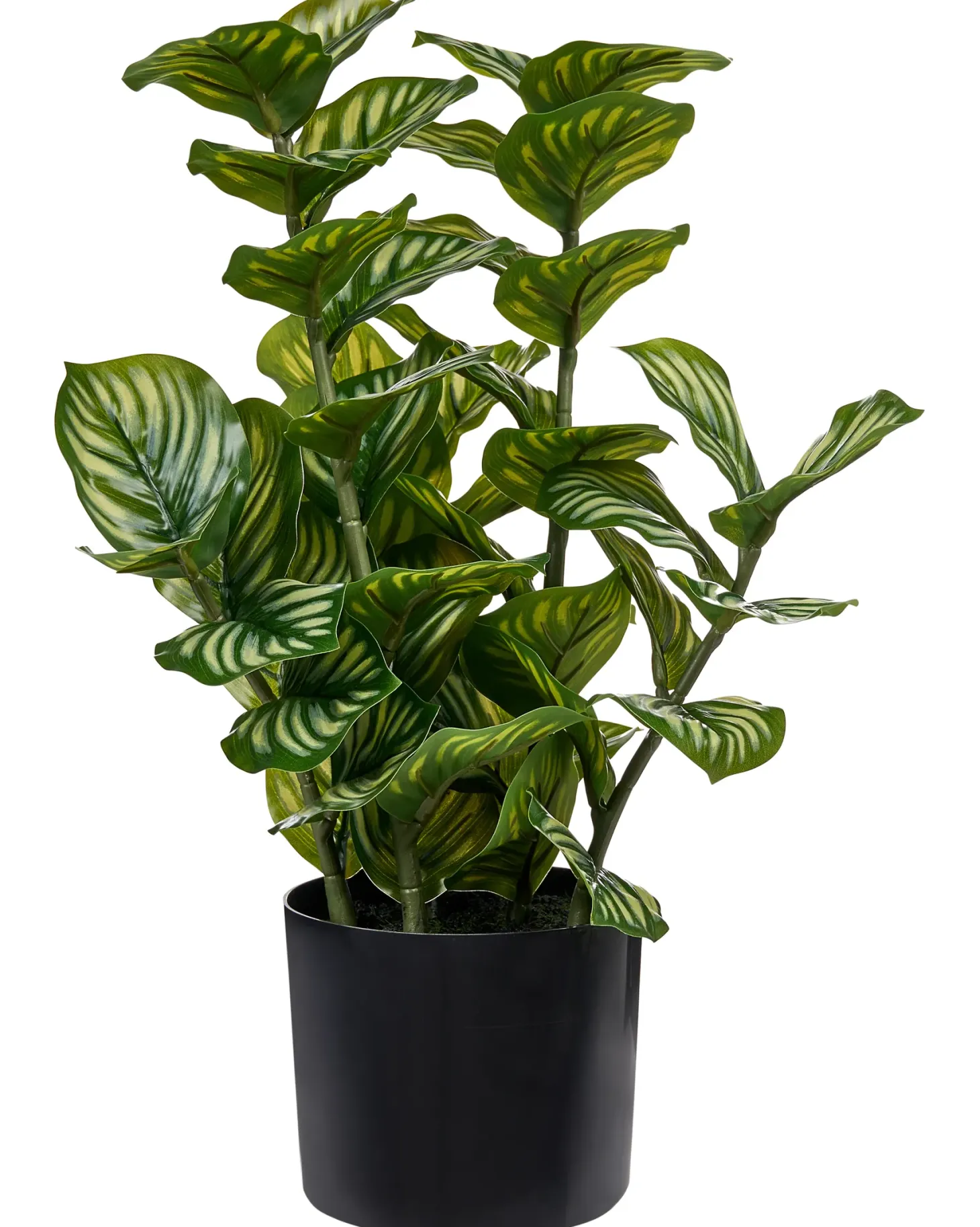 Sztuczna roślina ORBIFOLIA 50 cm Zielony