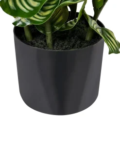 Sztuczna roślina ORBIFOLIA 50 cm Zielony