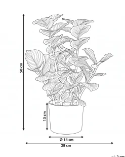 Sztuczna roślina ORBIFOLIA 50 cm Zielony