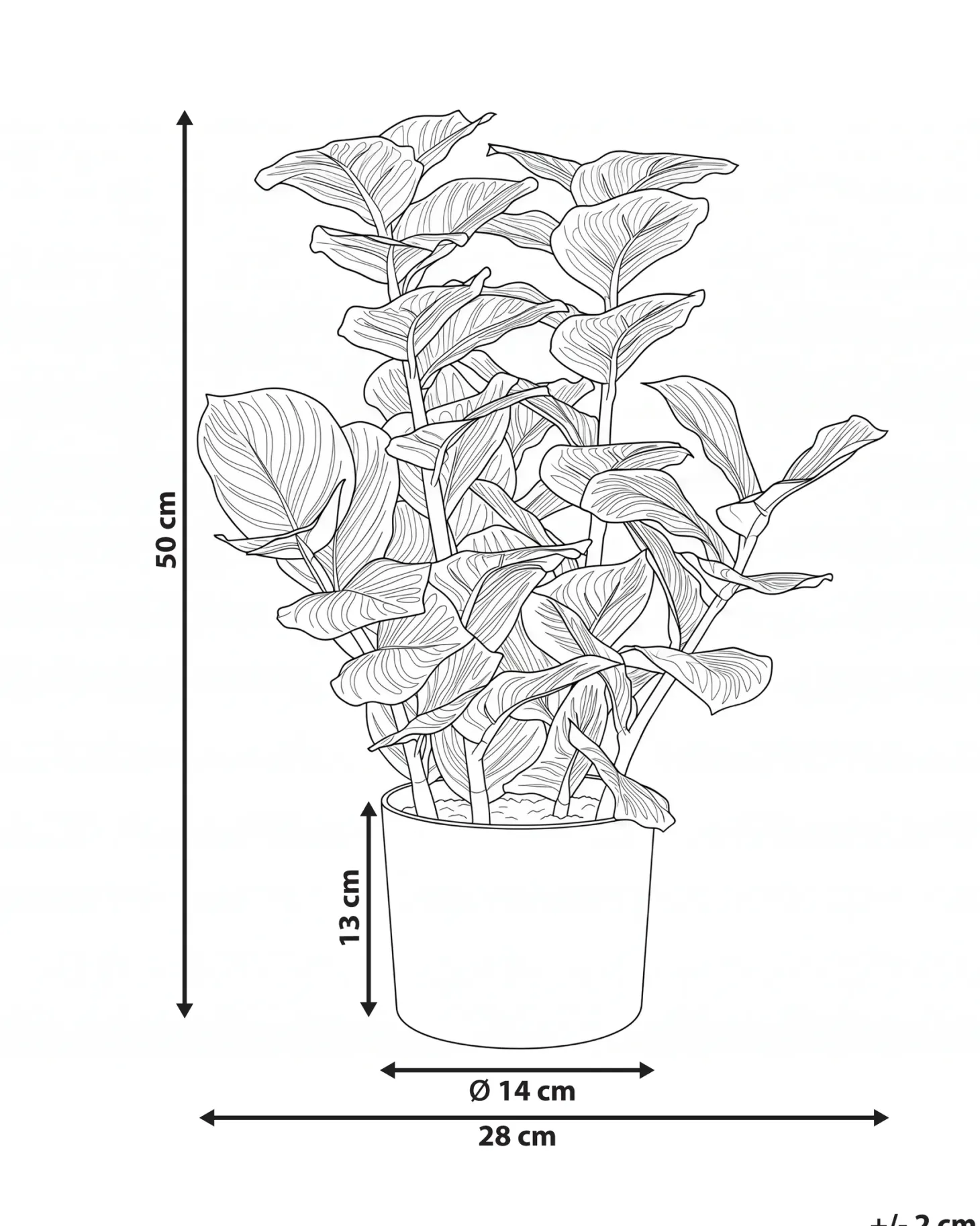 Sztuczna roślina ORBIFOLIA 50 cm Zielony