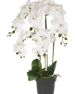 Sztuczna roślina ORCHID 65 cm Biały