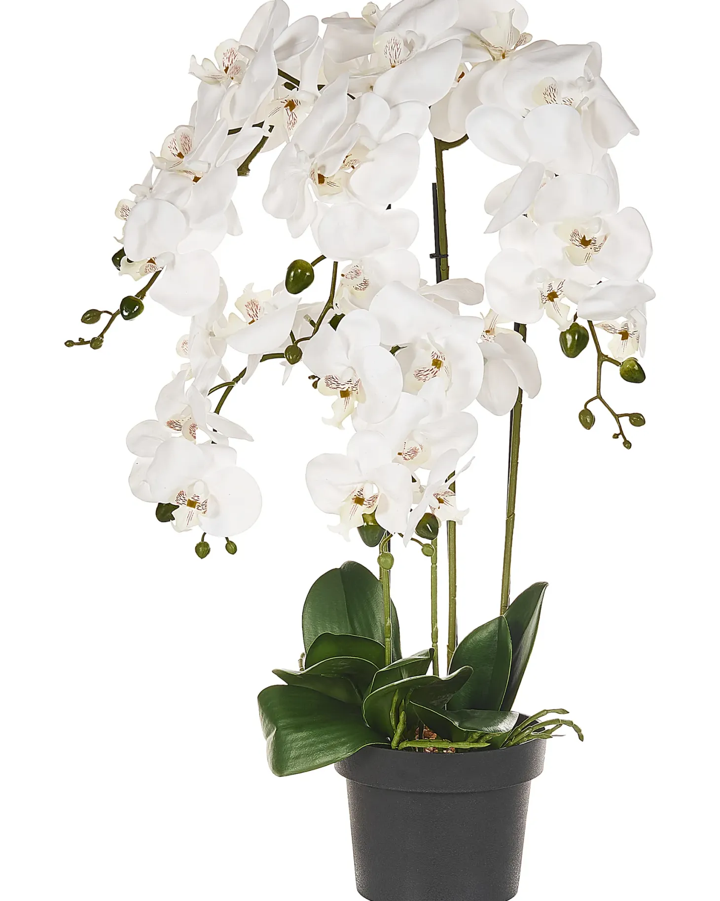 Sztuczna roślina ORCHID 65 cm Biały