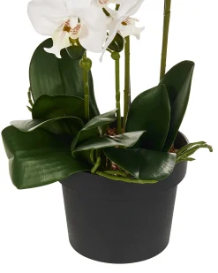 Sztuczna roślina ORCHID 65 cm Biały