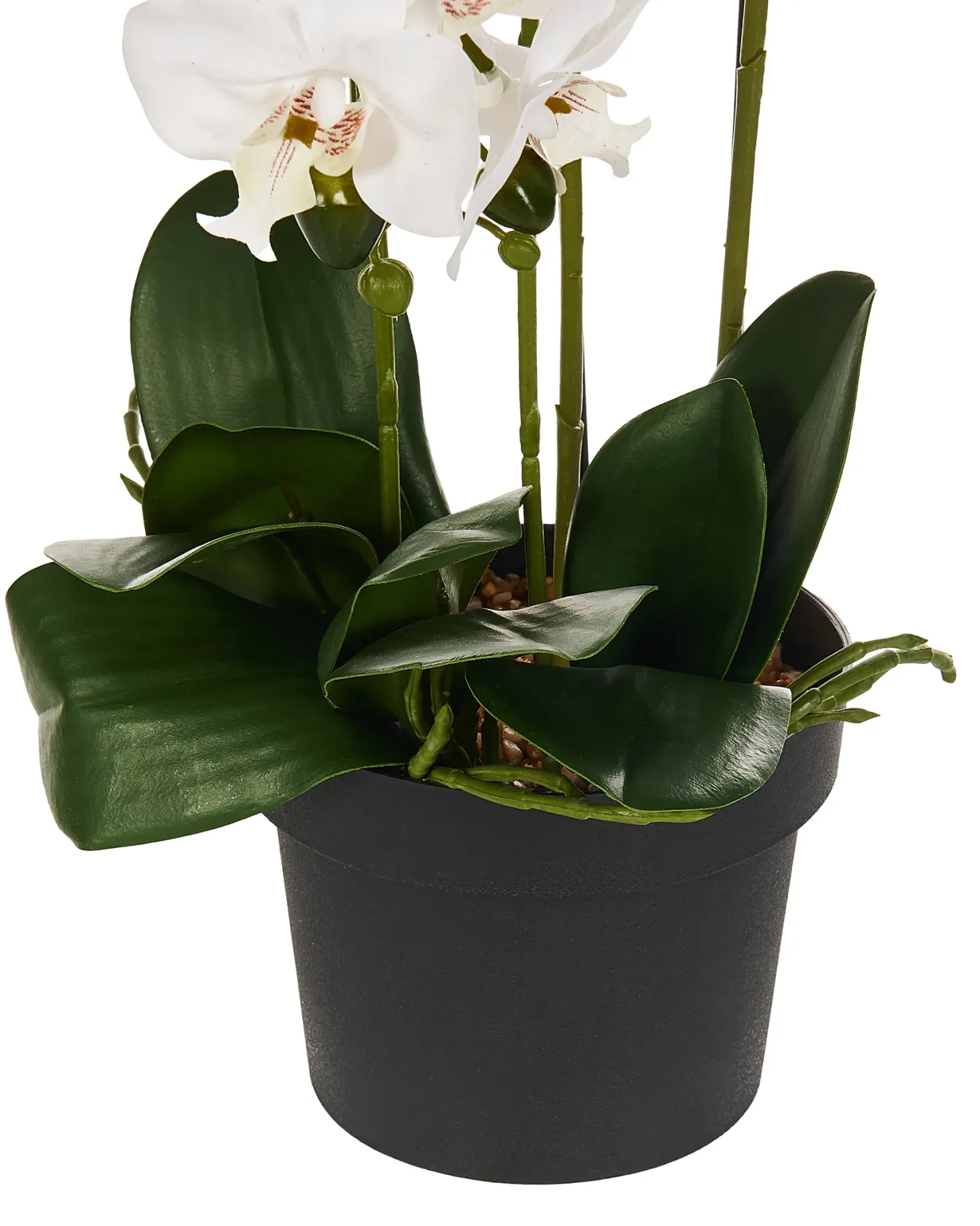 Sztuczna roślina ORCHID 65 cm Biały