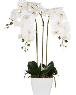 Sztuczna roślina ORCHID 59 cm Biały