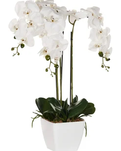 Sztuczna roślina ORCHID 59 cm Biały