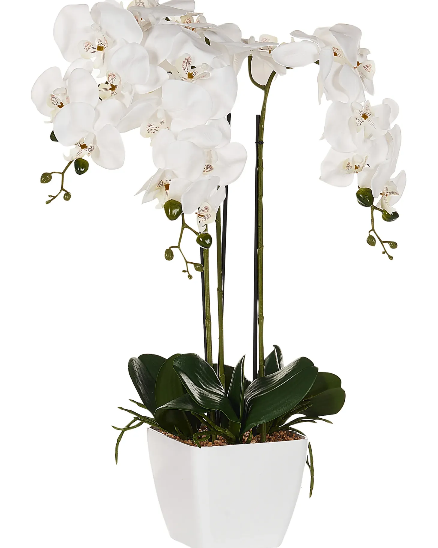 Sztuczna roślina ORCHID 59 cm Biały