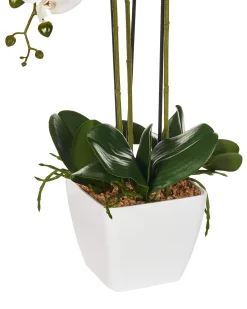 Sztuczna roślina ORCHID 59 cm Biały