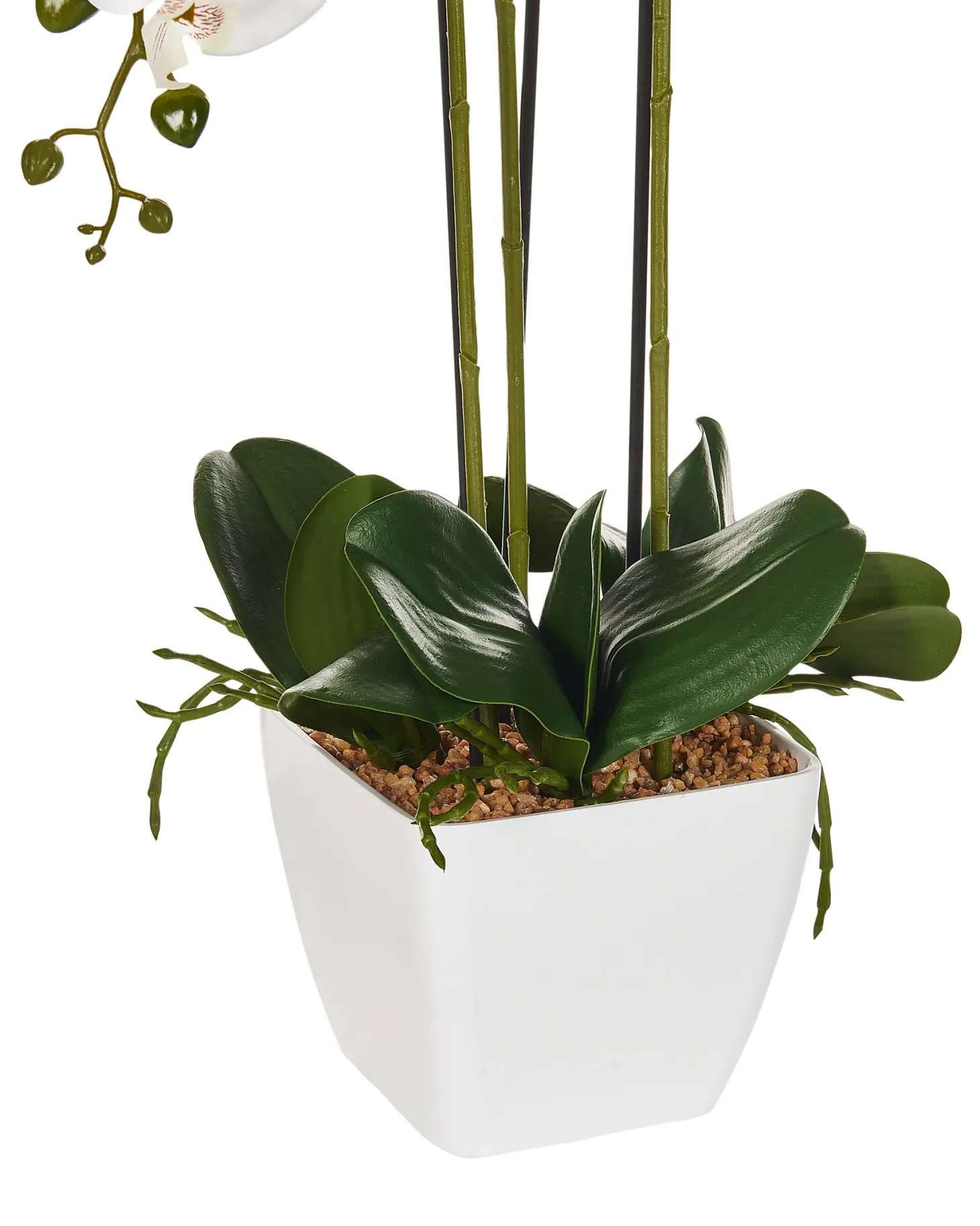 Sztuczna roślina ORCHID 59 cm Biały