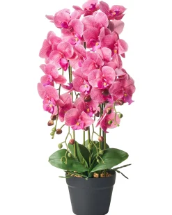 Sztuczna roślina ORCHID 65 cm Różowy