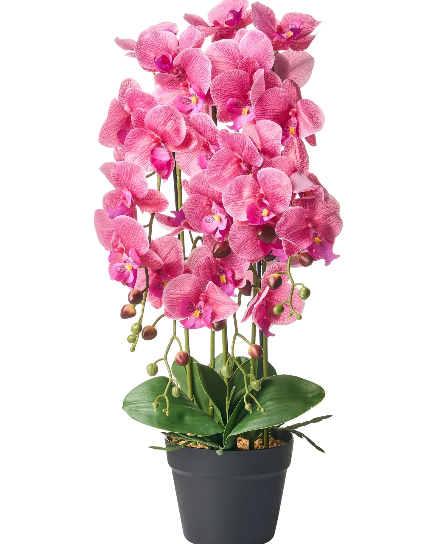 Sztuczna roślina ORCHID 65 cm Różowy