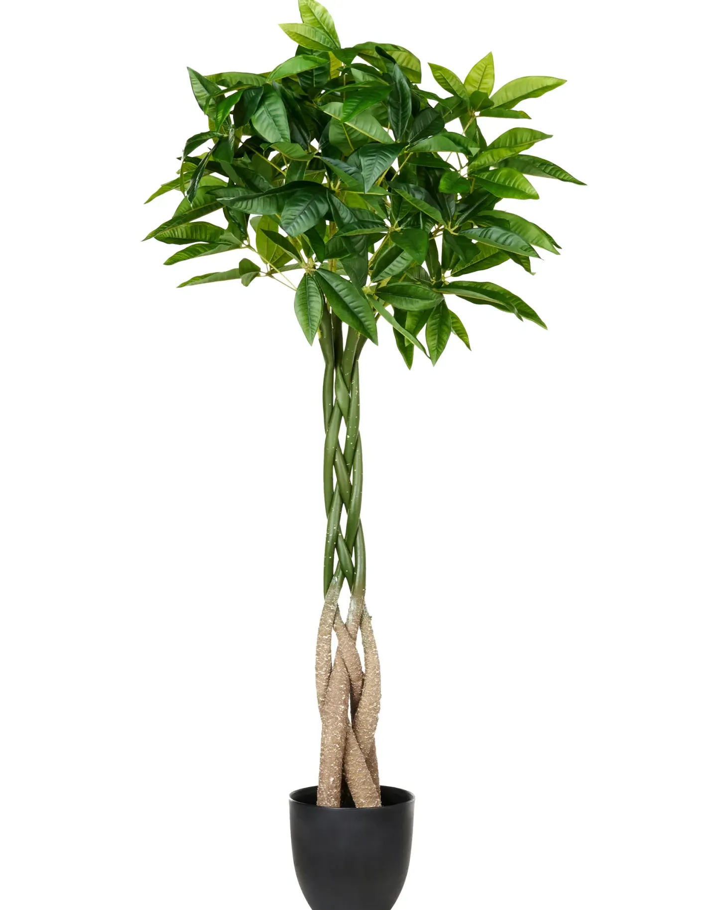 Sztuczna roślina PACHIRA TREE 120 cm Zielony